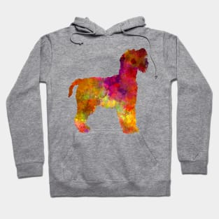 Welsh Terrier in watercolor Hoodie